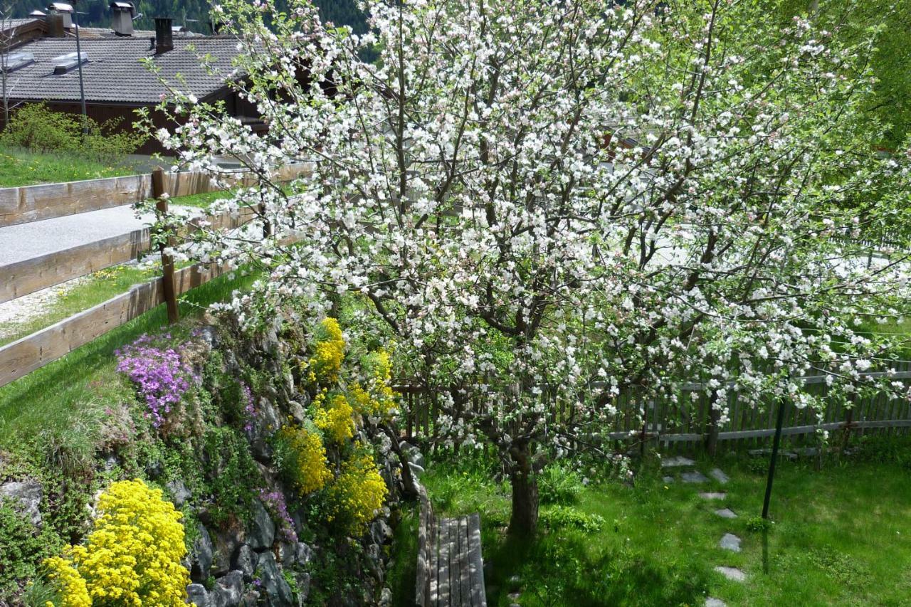 Gruberhof Apartment San Candido